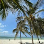 Kenya_ Watamu_spiaggia_mare