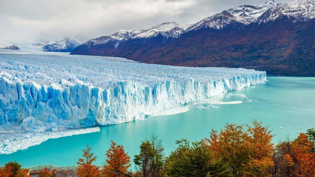 Giorno 6 ghiacciaio Perito Moreno_natura