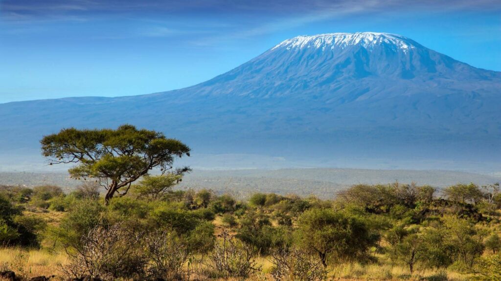 Kenya_ Kilimanjaro_montagna_savana