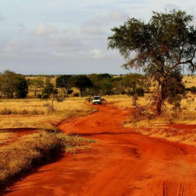 Kenya_paesaggi_natura_safari