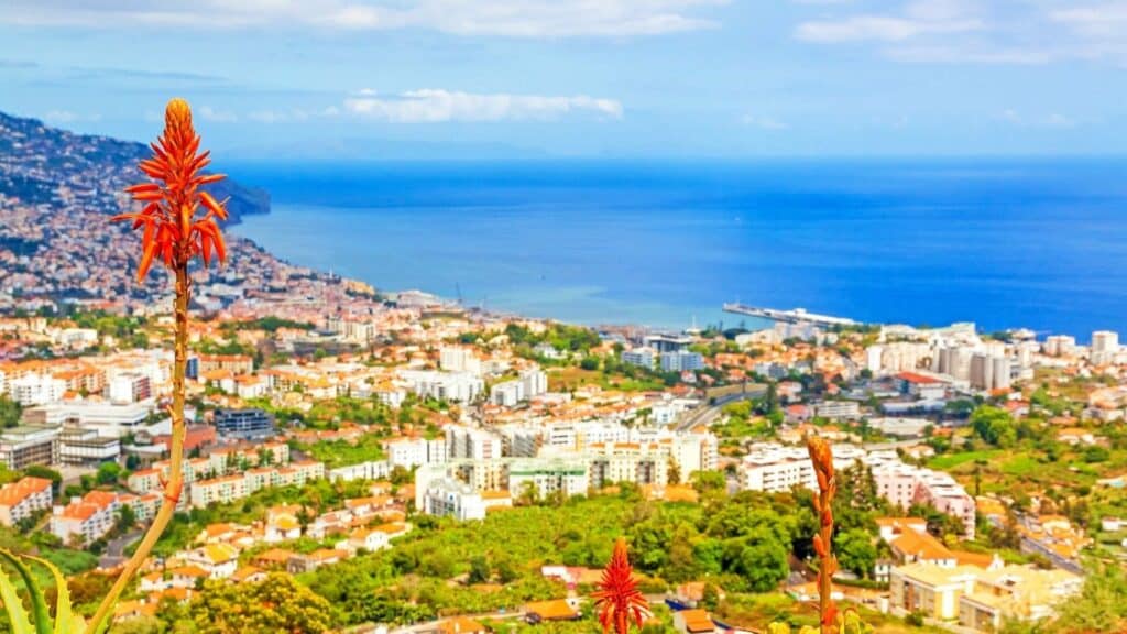 Madeira_ Funchal_Portogallo