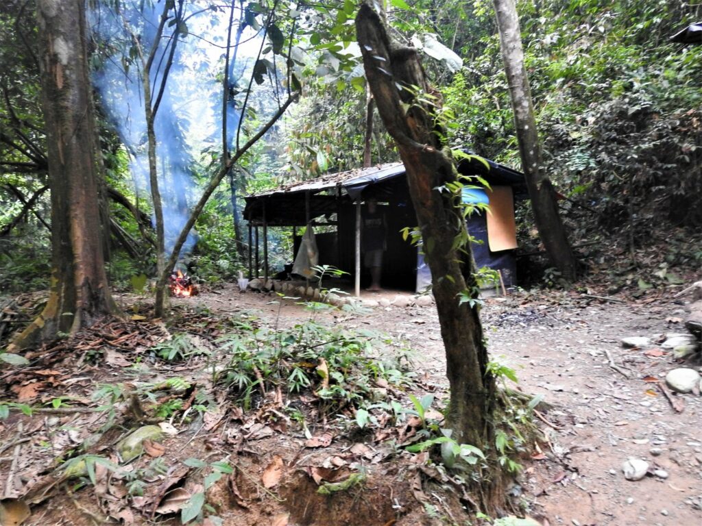 Camping nella giungla Sumatra con Giulia Meta