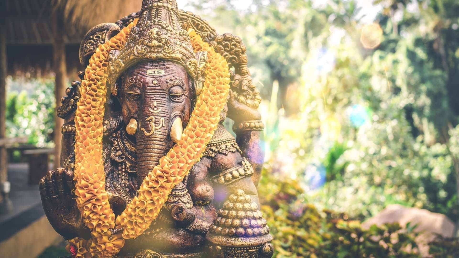India Adventure: Meghalaya, da Delhi a Guwahati