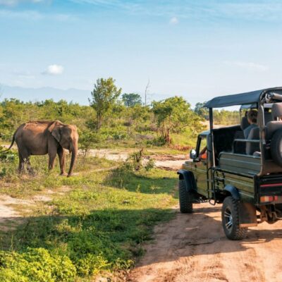 Sudafrica_Kruger National Park