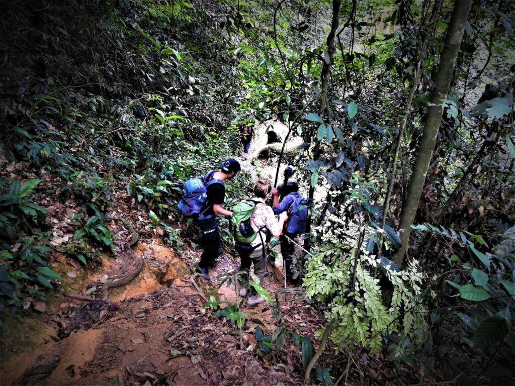 Trekking giungla Sumatra con Giulia Meta Sharewood_min