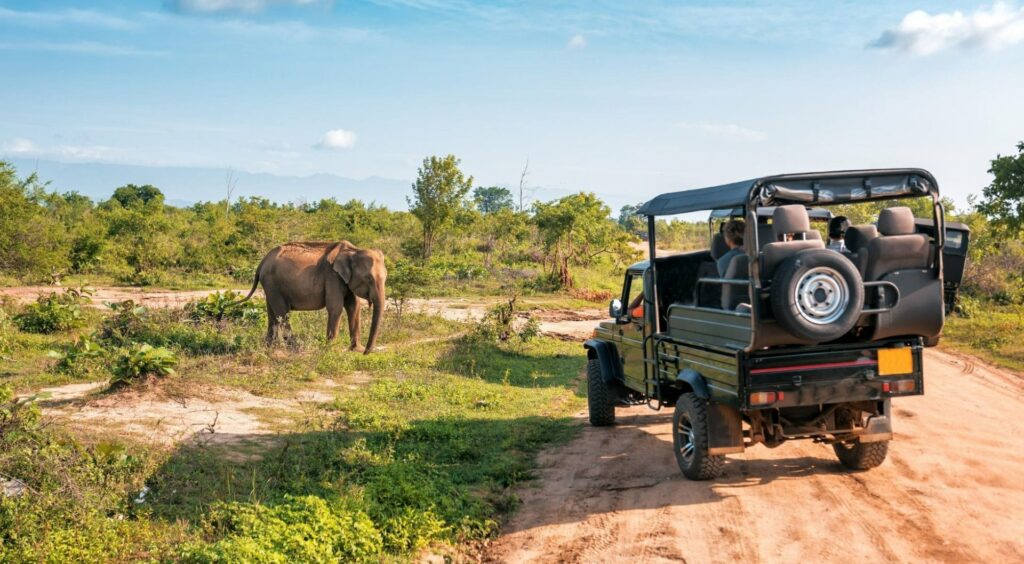Sudafrica_Kruger National Park
