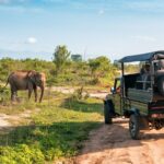 Sudafrica_Kruger National Park