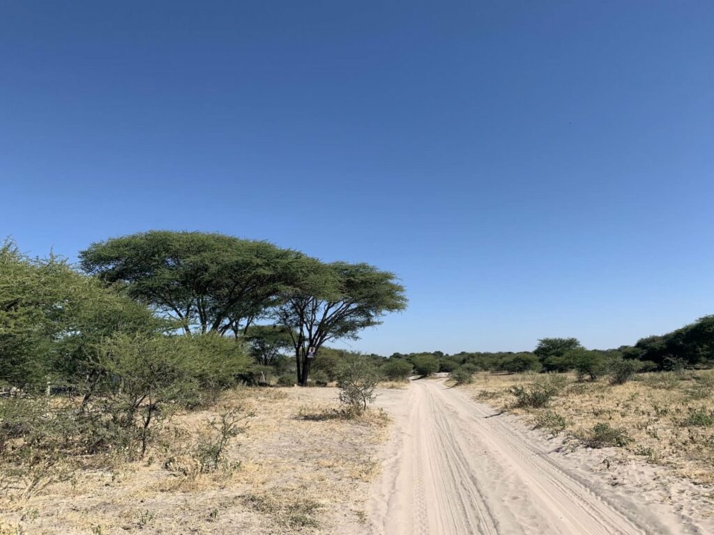 Botswana Chobe Strada