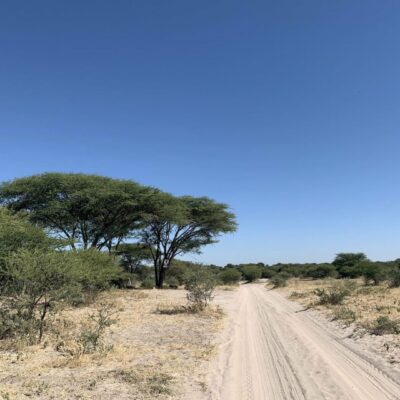 Botswana Chobe Strada