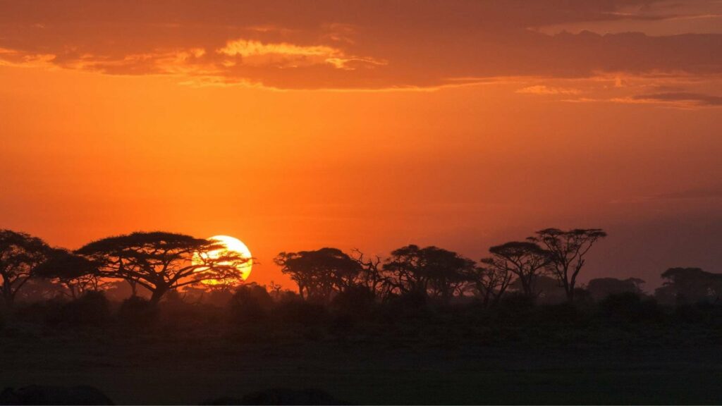 Kenya_Parco Amboseli_Natura