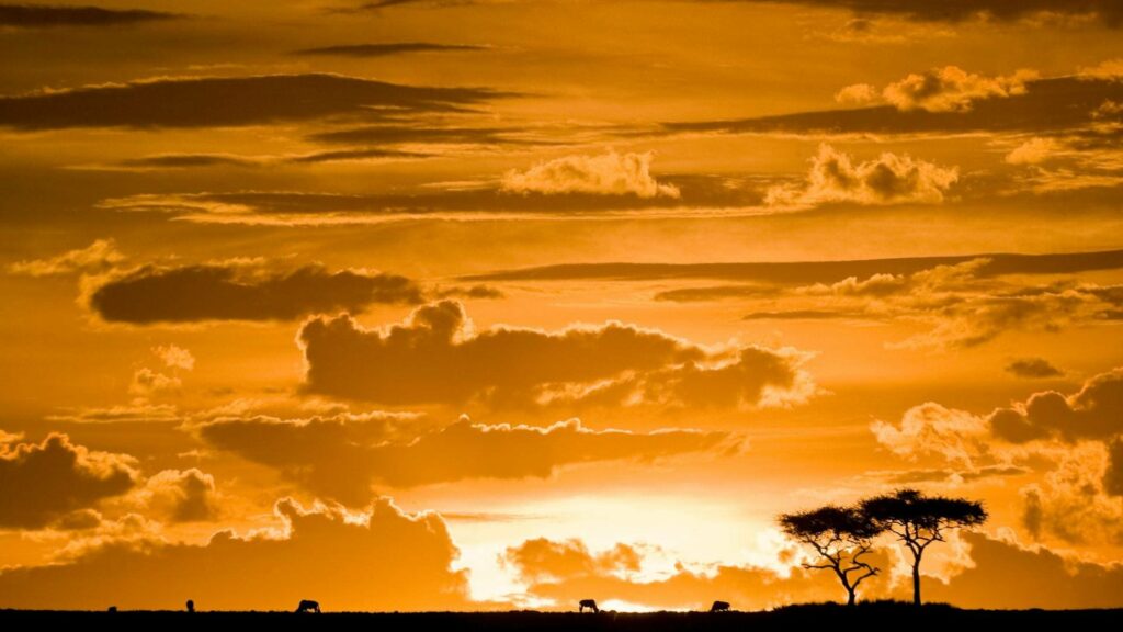 Kenya_riserva_naturale_ Maasai Mara