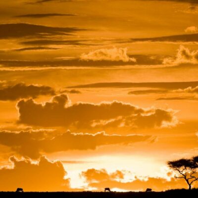 Kenya_riserva_naturale_ Maasai Mara