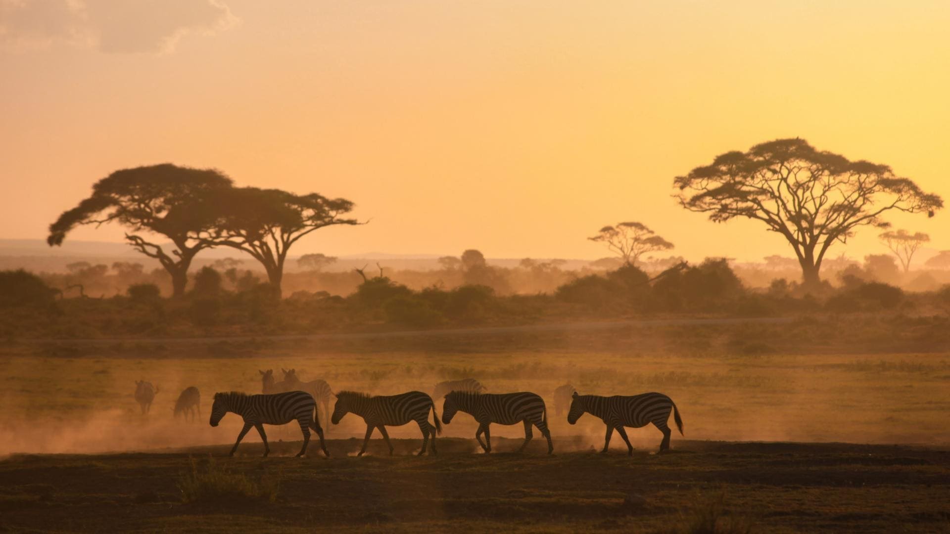 Abbigliamento consigliato per un safari in Kenya