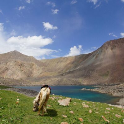 Kirghizistan multi activity: la terra dei nomadi