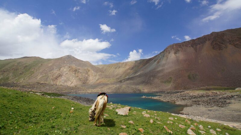 Kirghizistan multi activity: la terra dei nomadi