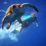Snorkeling tartarughe _ Tenerife