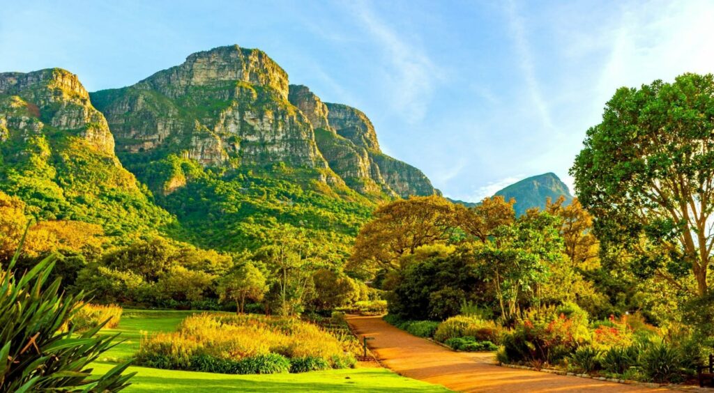 Sudafrica_giardini botanici nazionali di Kirstenbosch