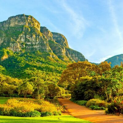 Sudafrica_giardini botanici nazionali di Kirstenbosch