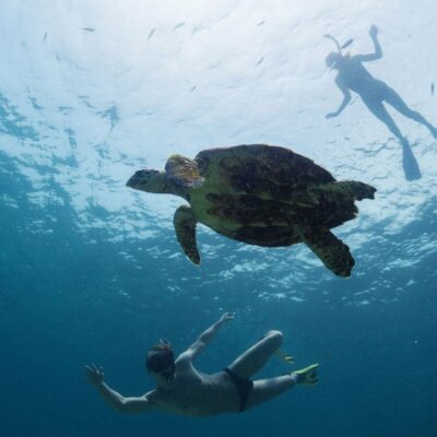 Panama_ san blas_snorkeling