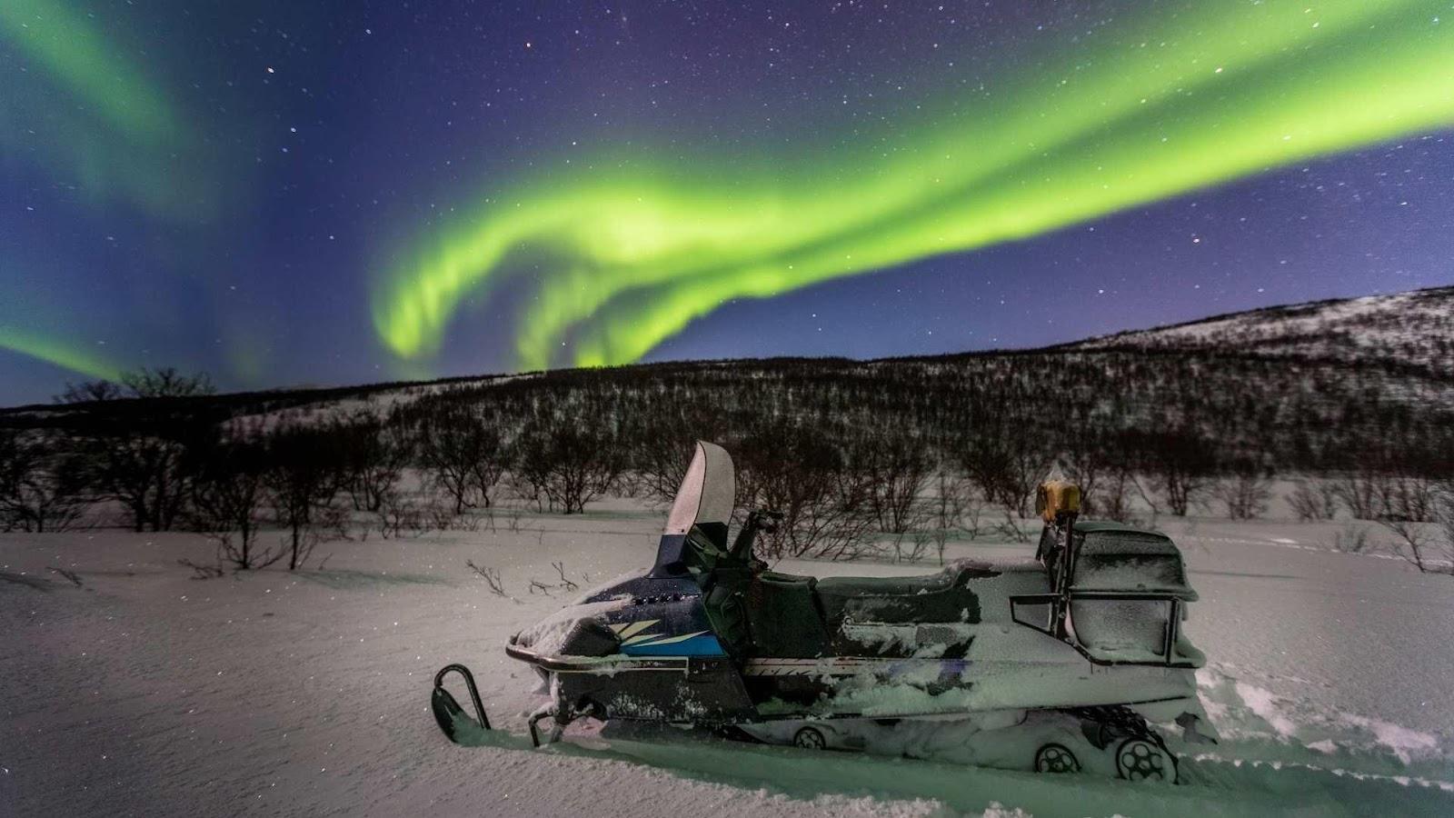 Safari notturno sotto l'aurora boreale per Capodanno
