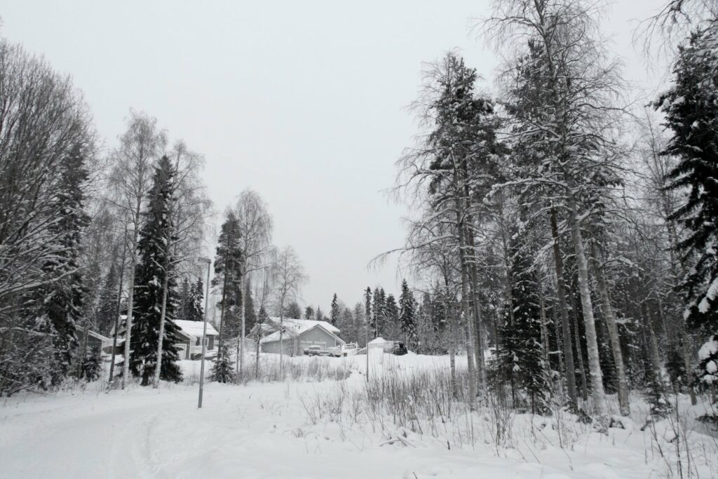 Lapponia_Rovaniemi_paesaggi