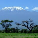 Amboseli 5.2