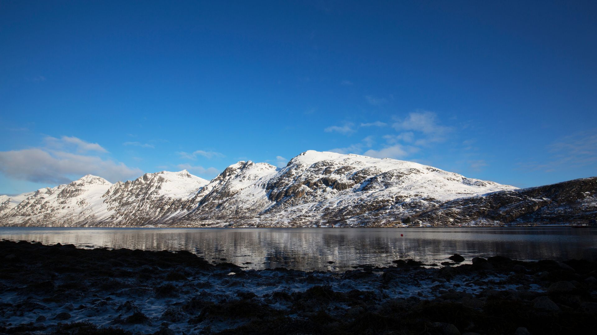 Avventura a Tromsø alla ricerca dell’aurora boreale