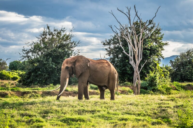 Attraversando il Kenya