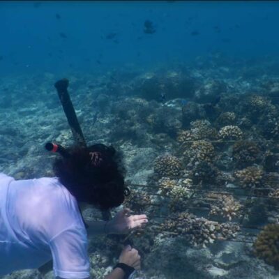 Maldive _ Snorkeling