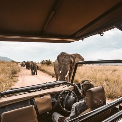 Sudafrica safari
