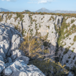 croazia by the river _ day 6 _ canyon di cetina