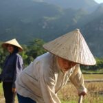 Vietnamiti sui campi