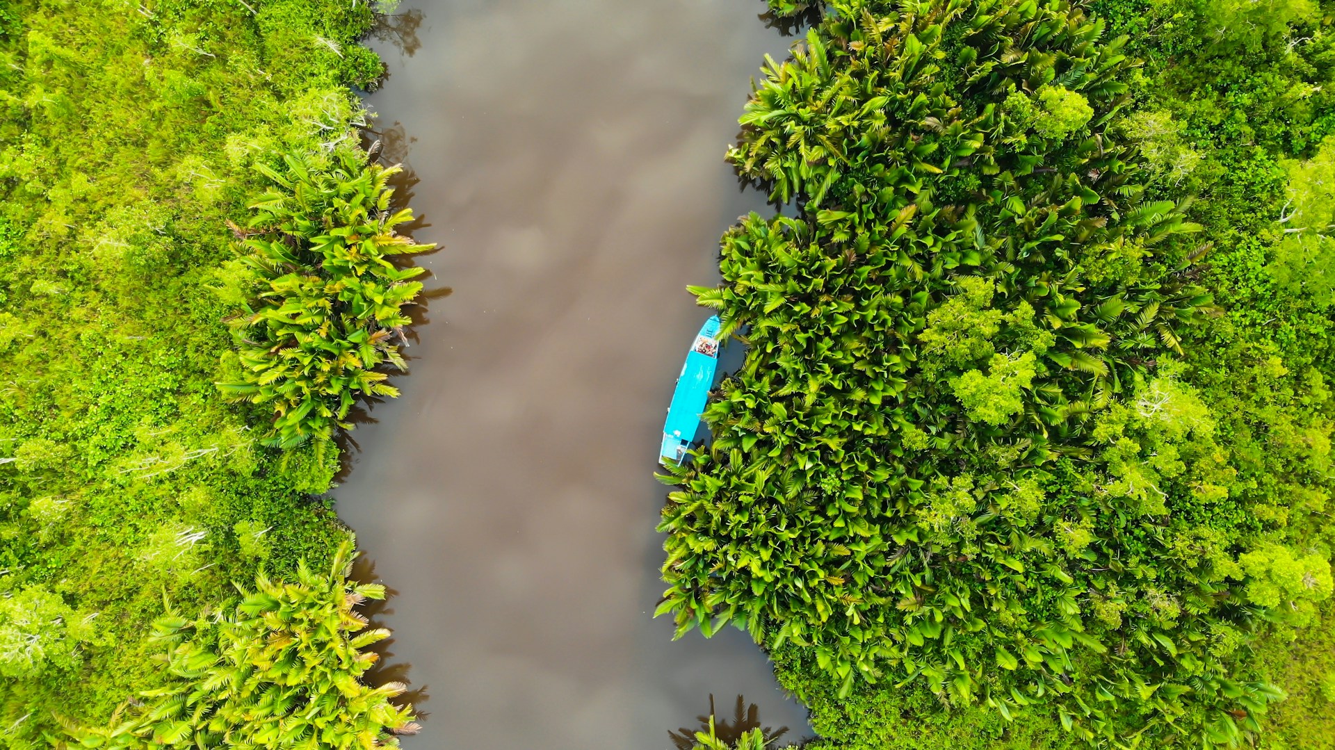 Malesia: Borneo Discovery