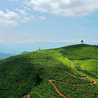 Sri Lanka: Trekking e Whale Watching