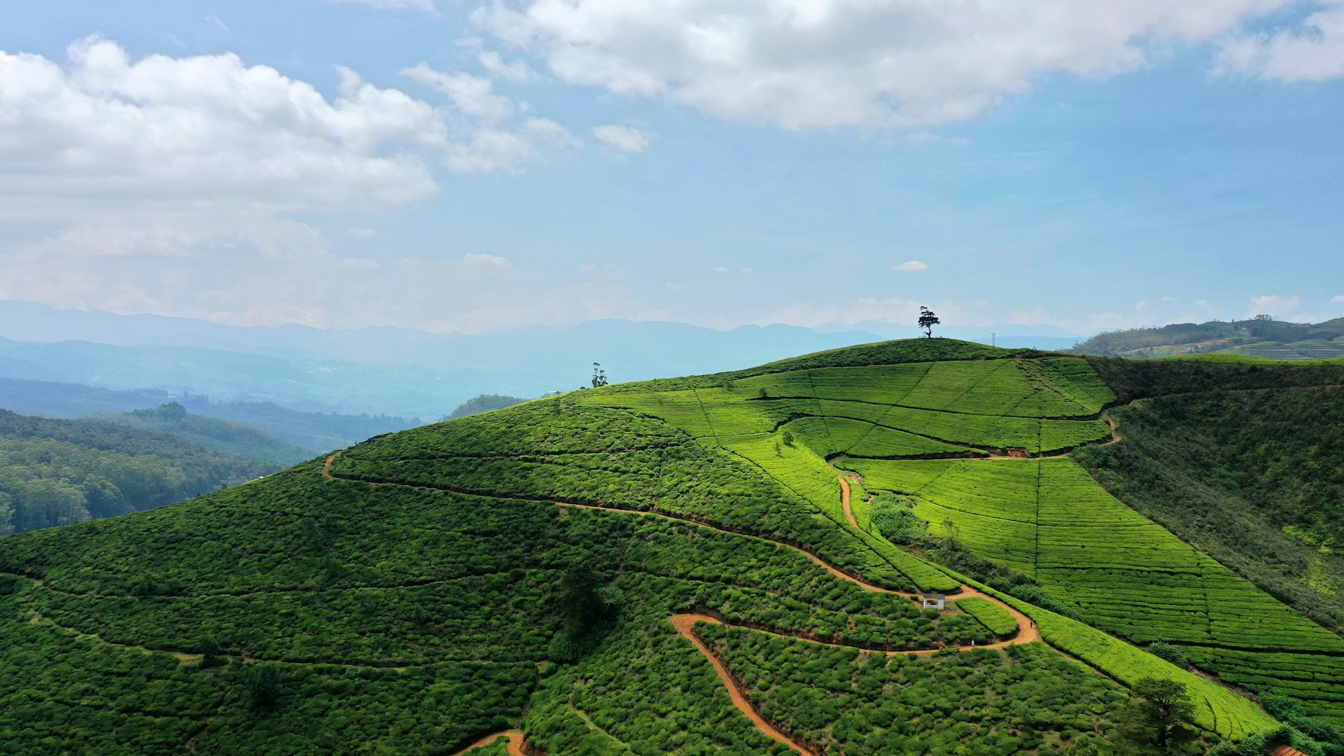 Sri Lanka: Trekking e Whale Watching