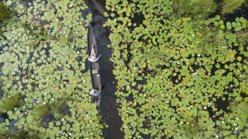 Botswana & Victoria Falls Adventure Safari