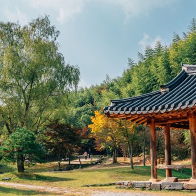 Corea del Sud: templi, natura e metropoli