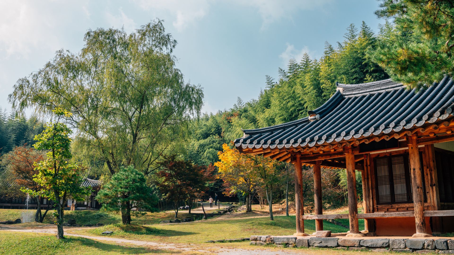 Corea del Sud: templi, natura e metropoli