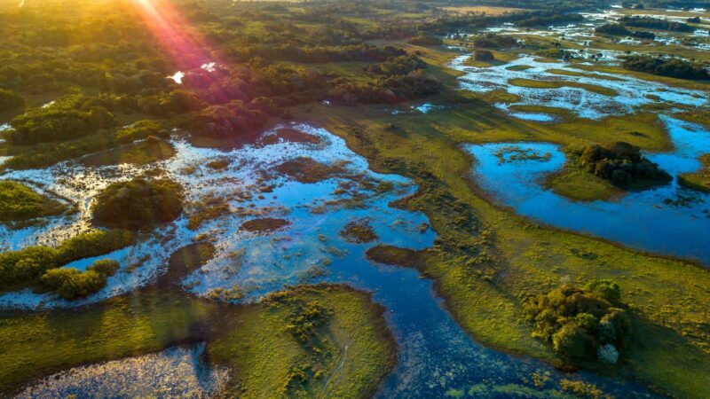 Brasile Selvaggio: tra Pantanal, Iguazú e Salvador