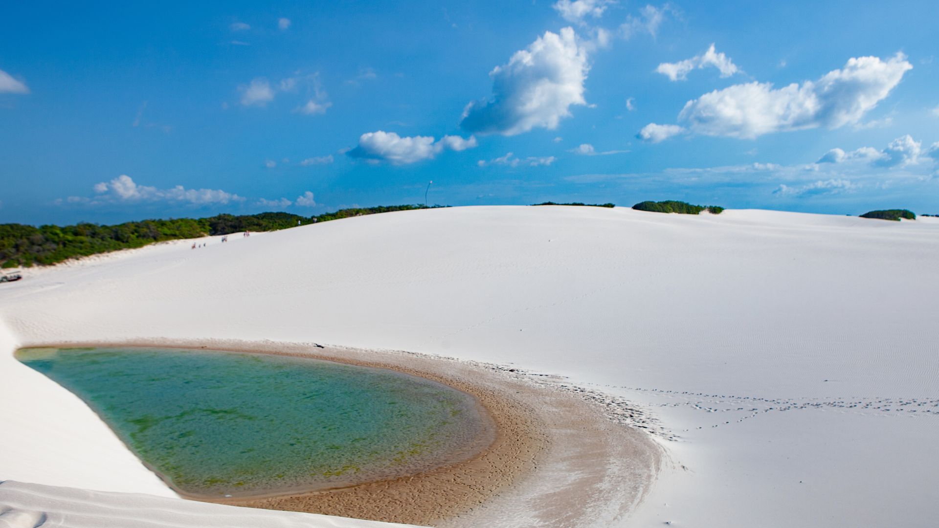 Le Meraviglie del Brasile