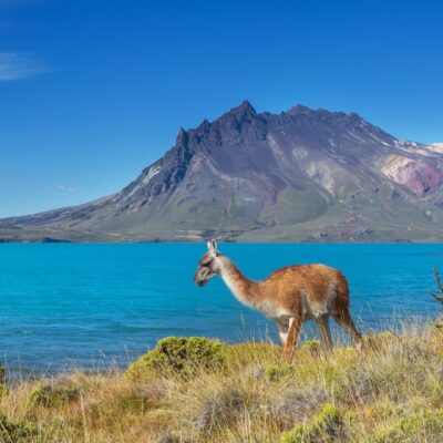 Gran Tour della Bolivia