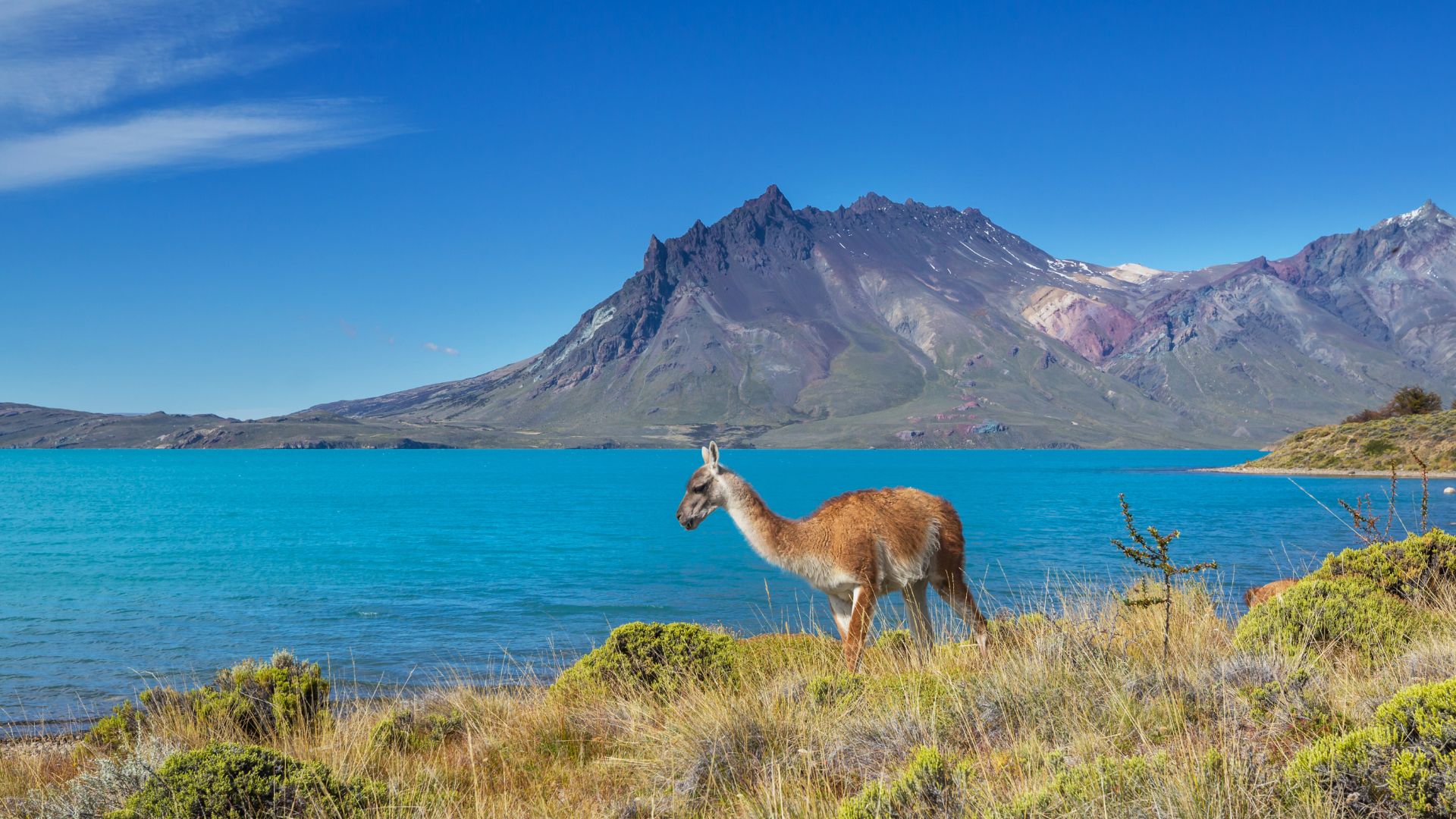 Gran Tour della Bolivia